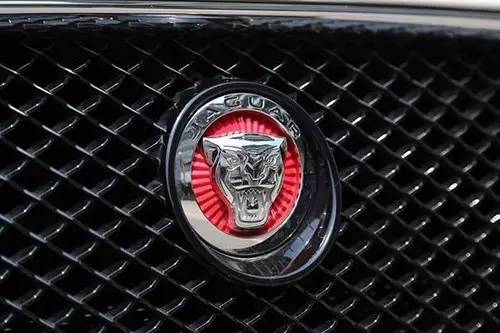 車標(biāo)上的動物都是啥來頭？看完又能出去裝X了