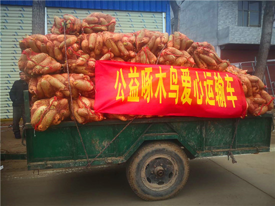＂愛(ài)心蘿卜＂來(lái)了！