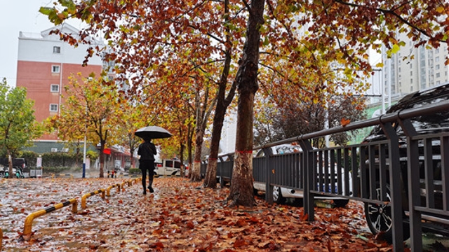 雨中周口，別有一番韻味