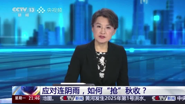 【主流媒體看周口】面對(duì)連陰雨 如何“搶”秋收？