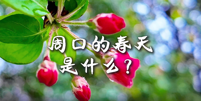 周口的春天，待你慢慢遇見(jiàn)