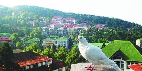 有著“云中山城”之稱的牯嶺鎮(zhèn)面臨著遷民下山。